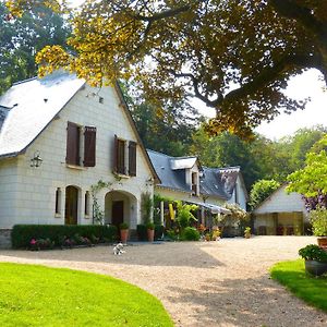 Domaine De Joreau Gennes-Val-de-Loire Exterior photo