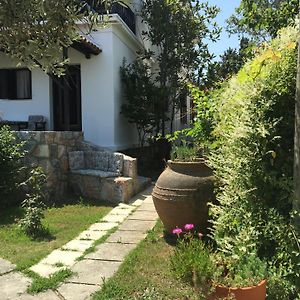 Eleni Del Sol Apartment Skopelos Town Exterior photo