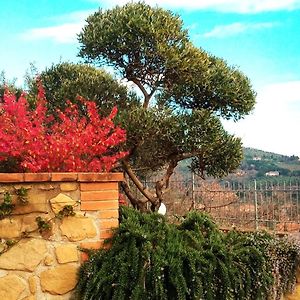 Olivo Bonsai Hotel Passignano sul Trasimeno Exterior photo