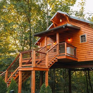 Cricket Hill Treehouse C By Amish Country Lodging Villa Millersburg Exterior photo