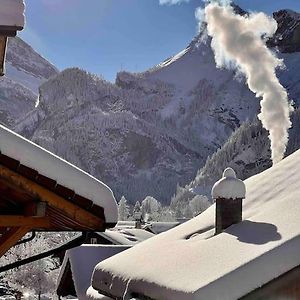 Alpine Chalet Apartment Kandersteg Exterior photo