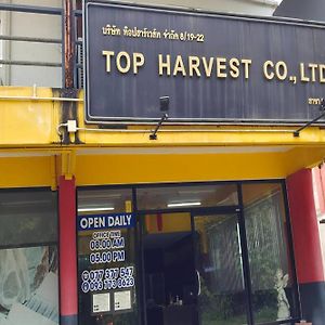 Top Harvest Rental Baan Tai Exterior photo