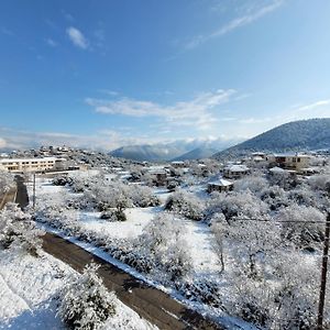 Xenonas Epavli Hotel Levidhion Exterior photo