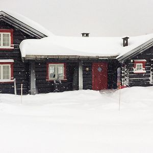 Nice Home In Sjusjen With 4 Bedrooms Mesnali Exterior photo