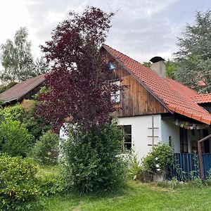 Chaloupka V Srdci Krivoklatska Villa Rakovnik Exterior photo