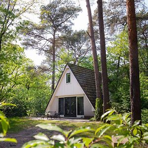 Vakantiehuis Magnolia Nunspeet Veluwe Exterior photo