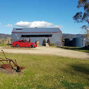 The Wattle Lodge Glendon Brook Exterior photo