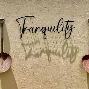Tranquility-Ukuthula Guesthouse Winterton Exterior photo