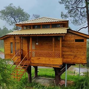 Forest Rest House, Satobari, Near Dal Lake, Near Fortune Moksha, Dharamshala Hp Exterior photo