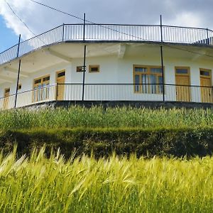 Yellow House Dharamshala Exterior photo