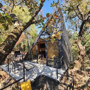 Cabanas Grasshopper Pygmy Hotel Cuernavaca Exterior photo