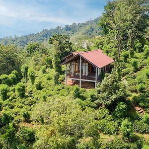 Tea Forest Eco Lodge Kandy Exterior photo