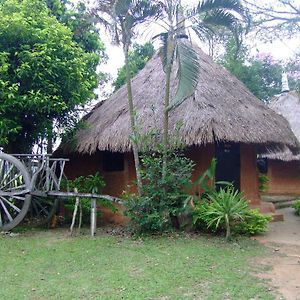 Ban Din Resort Chiang Rai Mae Chan Exterior photo