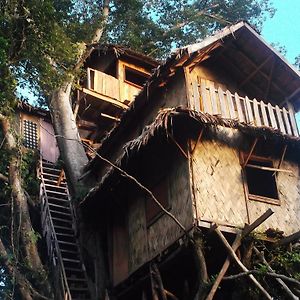 Tanna Lava View Bungalows Hotel Exterior photo