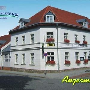 Hotel Am Seetor Angermunde Exterior photo