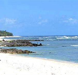 Alofa Beach Bungalows Hotel Tanna Island Exterior photo