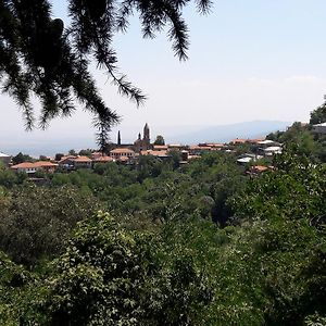 Goga Guesthouse Sighnaghi Exterior photo