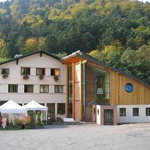 La Fischhutte, The Originals Relais Hotel Mollkirch Exterior photo
