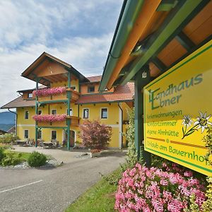 Landhaus Ebner Hotel Millstatt Exterior photo