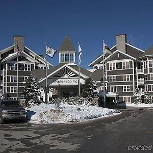 Allegheny Springs Snowshoe Exterior photo