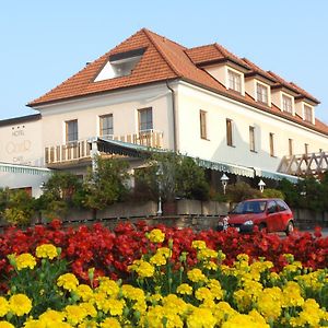 Hotel Geier Bad Schonau Exterior photo
