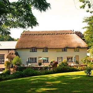 The Barn And Pinn Cottage Sidmouth Exterior photo