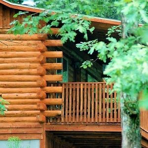 Lake Forest Luxury Log Cabins Apartment Eureka Springs Exterior photo