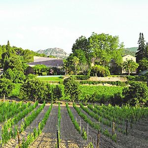 Chateau Haut Gleon Villeseque-des-Corbieres Exterior photo