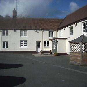 The Stowey Arms Bed & Breakfast Exeter Exterior photo