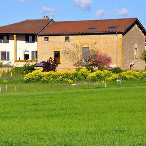 Le Clos Du Cher En Beaujolais Saint-Germain-Nuelles Exterior photo