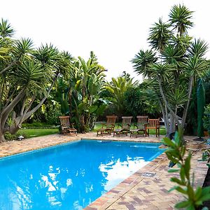 Secret Garden Guesthouse Bloubergstrand Exterior photo