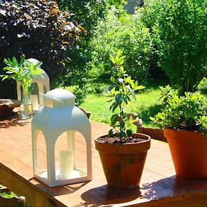 Domaine Charente Glamping Familyroom Le Jardin With External Toilet & Shower House & Outdoor Kitchen Mazieres  Exterior photo