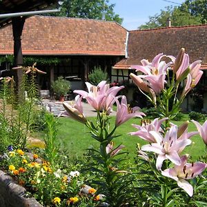 Le Gite Des Ecureuils Schalkendorf Exterior photo