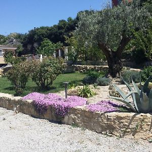 Le Castella B&B Restaurant Exterior photo