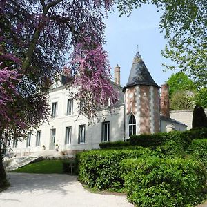 Chateau Des Basses Roches La Chaussee-Saint-Victor Exterior photo