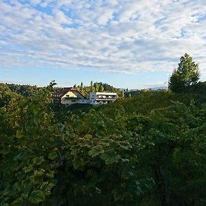 Weingut Winzerzimmer Toso Leutschach Exterior photo