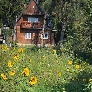 Vacationhome In The Vineyards Vienna Exterior photo