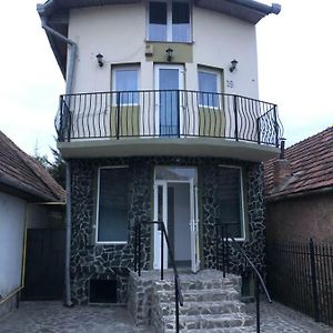 Pensiunea Casa Maria Cluj-Napoca Exterior photo