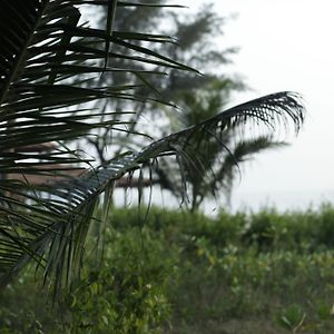 Sandy Feet Agonda Exterior photo