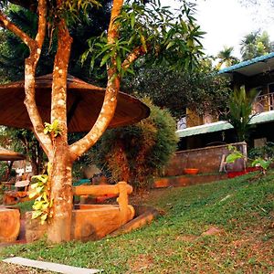 Elephant Pass Ayurveda & Yoga Retreat Malayattur Exterior photo