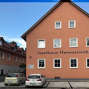 Landgasthof-Hotel Hammermuhle Donaustauf Exterior photo