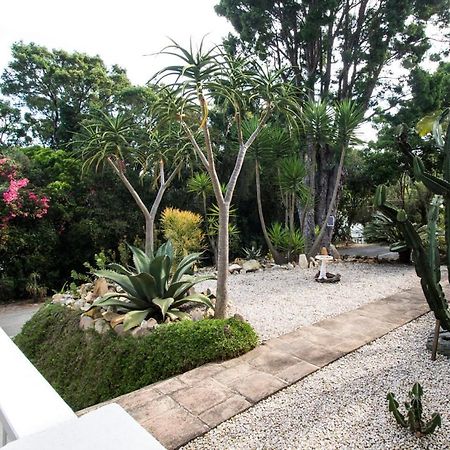 South Villa Guesthouse&Garden Knysna Exterior photo
