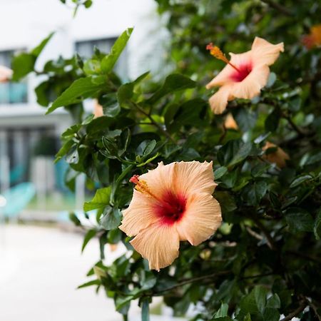 Terrigal Pacific Coastal Retreat Motel Exterior photo