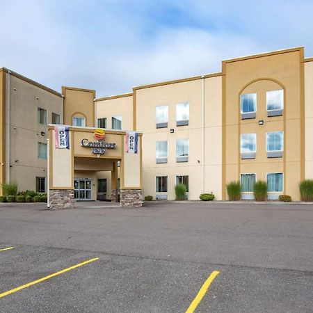 Comfort Inn Apalachin - Binghamton W Route 17 Exterior photo