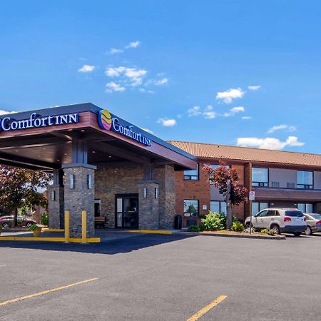 Comfort Inn St. Catharines Niagara Saint Catharines Exterior photo