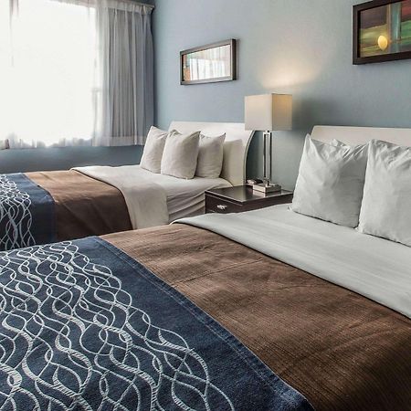 Comfort Inn & Suites Levittown Exterior photo