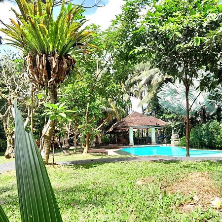 Panorama Hotel Ubud  Exterior photo