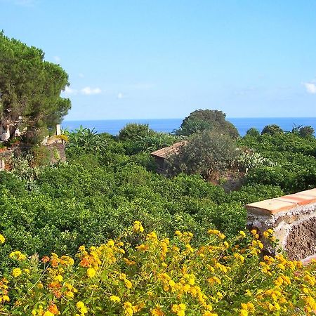 Il Limoneto Acireale Villa Exterior photo