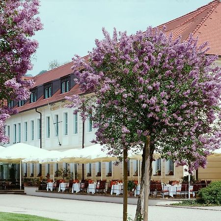Schloss Hotel Dresden Pillnitz Exterior photo