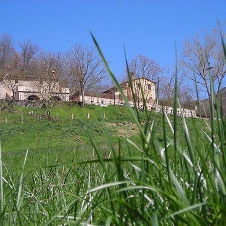 Agriturismo La Carbonaia Villa Vicchio Exterior photo
